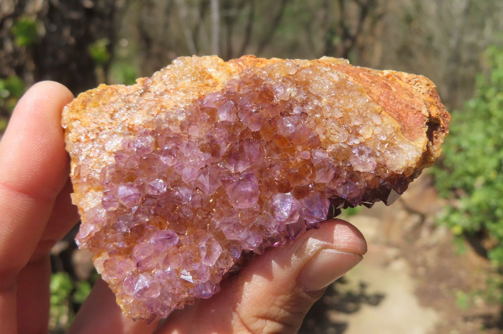 Natural Amethystos Amethyst Plates x 12 From Kwaggafontein, South Africa - Toprock Gemstones and Minerals 