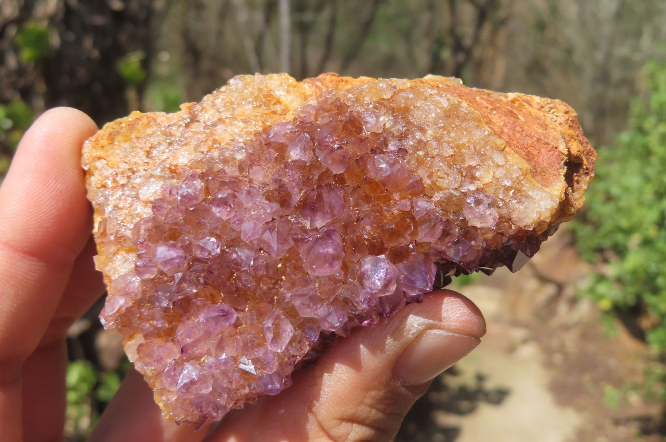 Natural Amethystos Amethyst Plates x 12 From Kwaggafontein, South Africa - Toprock Gemstones and Minerals 