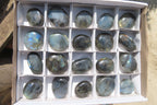 Polished Labradorite Palm Stones x 20 From Tulear, Madagascar - Toprock Gemstones and Minerals 