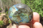 Polished Labradorite Palm Stones x 20 From Tulear, Madagascar - Toprock Gemstones and Minerals 