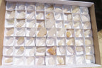 Natural Clear Quartz Crystals x 63 From Zimbabwe - Toprock Gemstones and Minerals 
