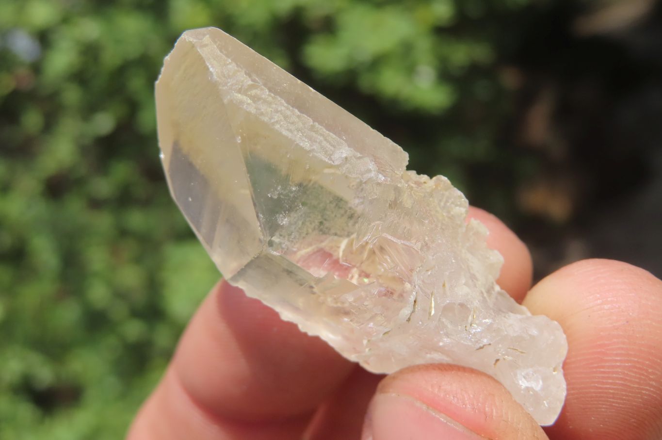 Natural Clear Quartz Crystals x 63 From Zimbabwe - Toprock Gemstones and Minerals 