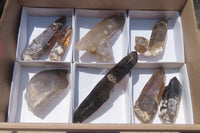 Natural Smokey Quartz Crystals x 8 From Zomba, Malawi - Toprock Gemstones and Minerals 