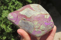 Polished Stichtite Standing Free Forms x 2 From Barberton, South Africa - Toprock Gemstones and Minerals 