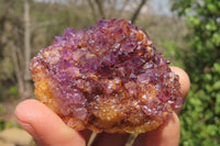 Natural Amethystos Amethyst Plates x 6 From Kwaggafontein, South Africa - Toprock Gemstones and Minerals 