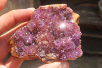 Natural Amethystos Amethyst Plates x 6 From Kwaggafontein, South Africa - Toprock Gemstones and Minerals 