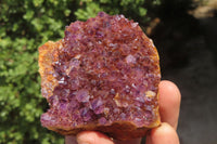 Natural Amethystos Amethyst Plates x 6 From Kwaggafontein, South Africa - Toprock Gemstones and Minerals 