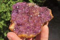 Natural Amethystos Amethyst Plates x 6 From Kwaggafontein, South Africa - Toprock Gemstones and Minerals 