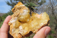 Natural Golden Limonite Quartz Clusters x 6 From Zambia - Toprock Gemstones and Minerals 