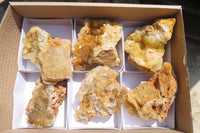 Natural Golden Limonite Quartz Clusters x 6 From Zambia - Toprock Gemstones and Minerals 