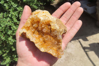 Natural Golden Limonite Quartz Clusters x 6 From Zambia - Toprock Gemstones and Minerals 