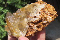 Natural Golden Limonite Quartz Clusters x 6 From Zambia - Toprock Gemstones and Minerals 