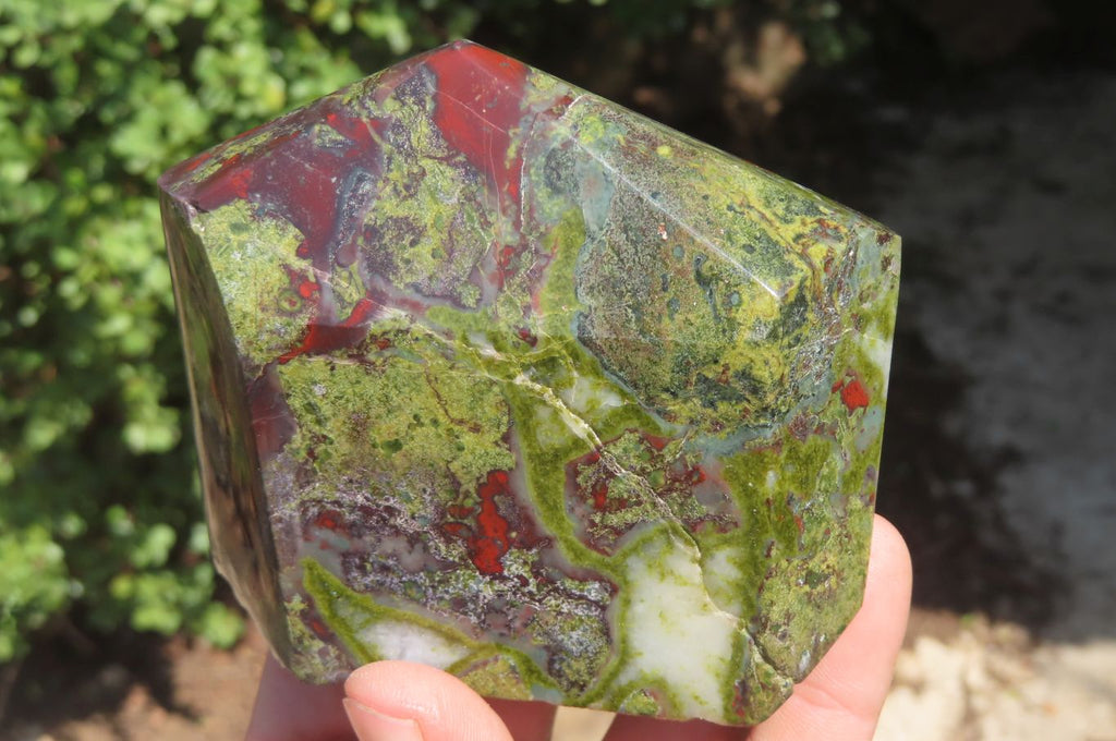 Polished Dragons Blood Stone Points x 2 From Tshipise, South Africa - Toprock Gemstones and Minerals 