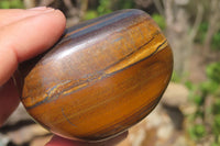 Polished Tiger's Eye Free Forms x 5 From Prieska, South Africa