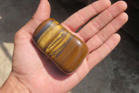 Polished Tiger's Eye Free Forms x 5 From Prieska, South Africa