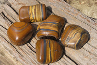 Polished Tiger's Eye Free Forms x 5 From Prieska, South Africa