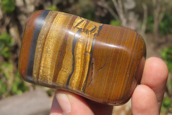 Polished Tiger's Eye Free Forms x 5 From Prieska, South Africa