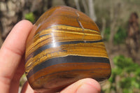 Polished Tiger's Eye Free Forms x 5 From Prieska, South Africa