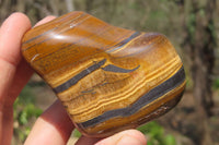 Polished Tiger's Eye Free Forms x 5 From Prieska, South Africa