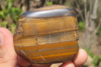 Polished Tiger's Eye Free Forms x 5 From Prieska, South Africa