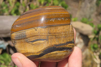 Polished Tiger's Eye Free Forms x 5 From Prieska, South Africa