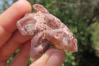 Natural Red Hematoid Quartz Specimens x 35 From Karoi, Zimbabwe - Toprock Gemstones and Minerals 