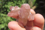 Natural Red Hematoid Quartz Specimens x 35 From Karoi, Zimbabwe - Toprock Gemstones and Minerals 