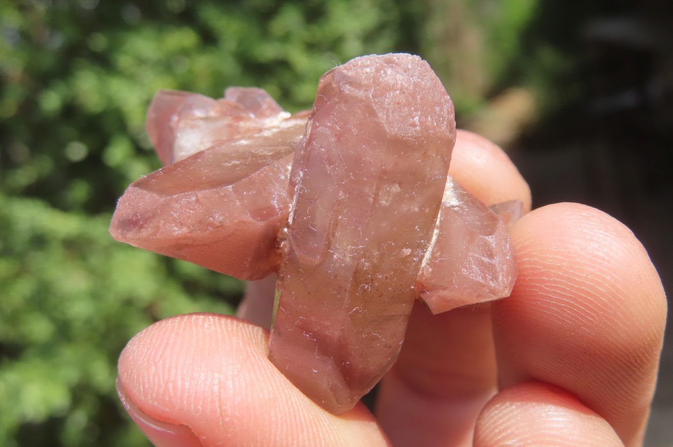 Natural Red Hematoid Quartz Specimens x 35 From Karoi, Zimbabwe - Toprock Gemstones and Minerals 