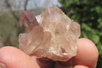 Natural Red Hematoid Quartz Specimens x 35 From Karoi, Zimbabwe - Toprock Gemstones and Minerals 