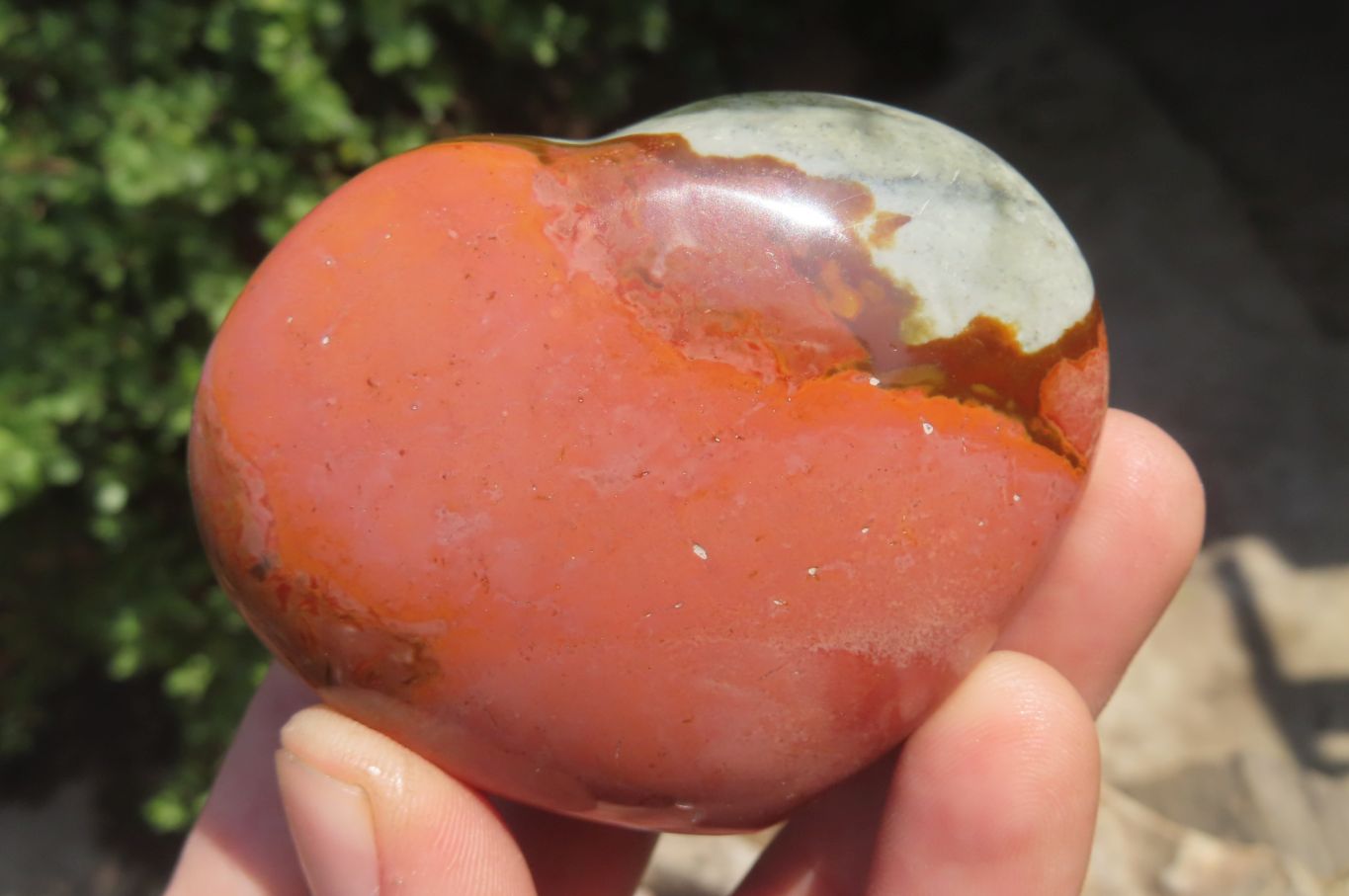 Polished Polychrome Jasper Gemstone Hearts x 6 From Madagascar - Toprock Gemstones and Minerals 