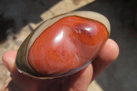 Polished Polychrome Jasper Gemstone Hearts x 6 From Madagascar