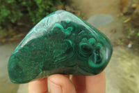 Polished Flower Banded Malachite Free Forms x 6 From Congo - Toprock Gemstones and Minerals 