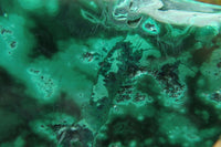 Polished Flower Banded Malachite Free Forms x 6 From Congo - Toprock Gemstones and Minerals 