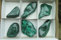 Polished Flower Banded Malachite Free Forms x 6 From Congo - Toprock Gemstones and Minerals 