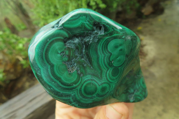Polished Flower Banded Malachite Free Forms x 6 From Congo - Toprock Gemstones and Minerals 