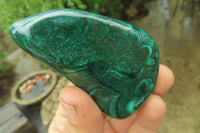 Polished Flower Banded Malachite Free Forms x 6 From Congo - Toprock Gemstones and Minerals 
