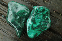 Polished Flower Banded Malachite Free Forms x 6 From Congo - Toprock Gemstones and Minerals 