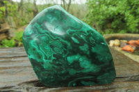 Polished Flower Banded Malachite Free Forms x 6 From Congo - Toprock Gemstones and Minerals 