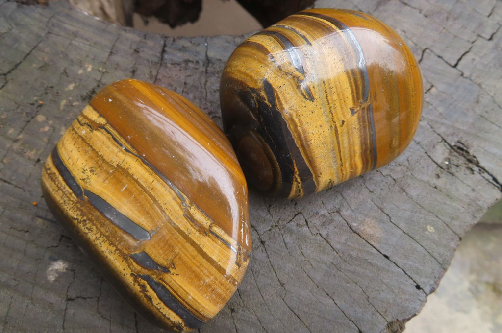 Polished Tiger's Eye Free Forms x 6 From Prieska, South Africa - Toprock Gemstones and Minerals 