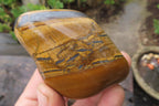 Polished Tiger's Eye Free Forms x 6 From Prieska, South Africa - Toprock Gemstones and Minerals 