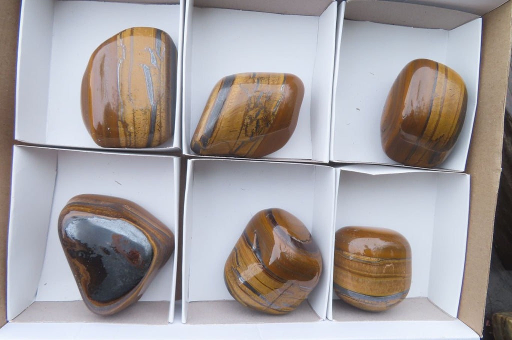 Polished Tiger's Eye Free Forms x 6 From Prieska, South Africa - Toprock Gemstones and Minerals 