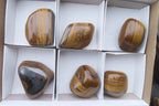 Polished Tiger's Eye Free Forms x 6 From Prieska, South Africa - Toprock Gemstones and Minerals 