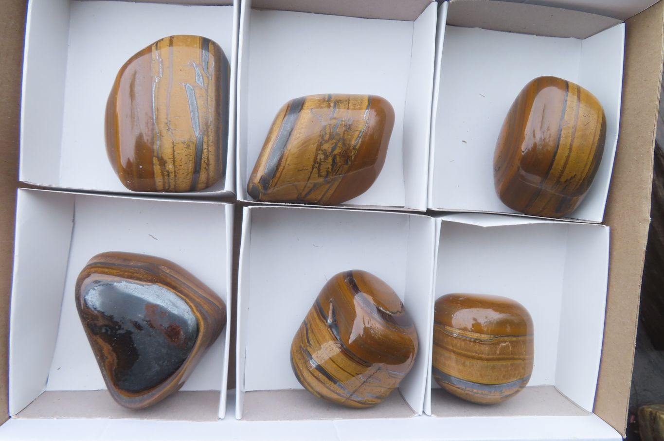Polished Tiger's Eye Free Forms x 6 From Prieska, South Africa - Toprock Gemstones and Minerals 