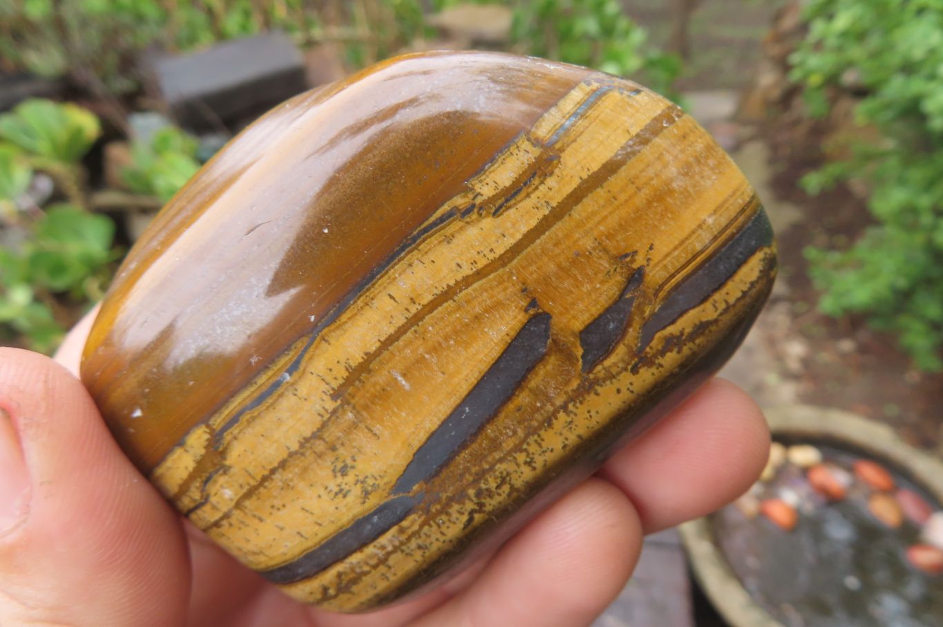 Polished Tiger's Eye Free Forms x 6 From Prieska, South Africa - Toprock Gemstones and Minerals 