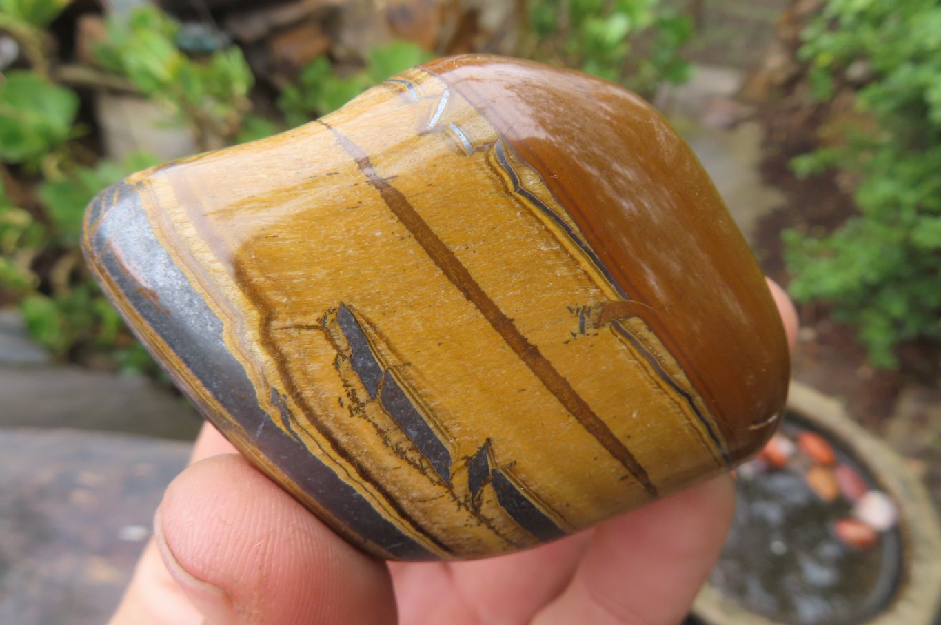 Polished Tiger's Eye Free Forms x 6 From Prieska, South Africa - Toprock Gemstones and Minerals 