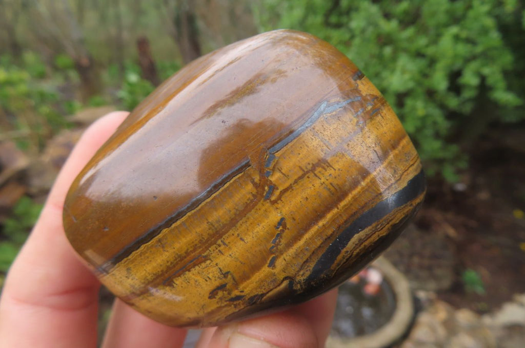 Polished Tiger's Eye Free Forms x 6 From Prieska, South Africa - Toprock Gemstones and Minerals 