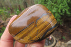 Polished Tiger's Eye Free Forms x 6 From Prieska, South Africa - Toprock Gemstones and Minerals 