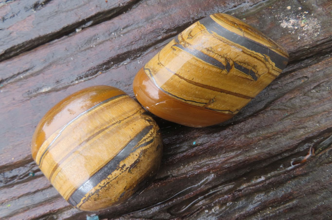 Polished Tiger's Eye Free Forms x 6 From Prieska, South Africa - Toprock Gemstones and Minerals 