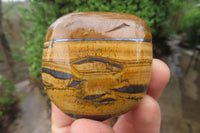 Polished Tiger's Eye Free Forms x 6 From Prieska, South Africa - Toprock Gemstones and Minerals 