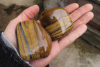Polished Tiger's Eye Free Forms x 6 From Prieska, South Africa - Toprock Gemstones and Minerals 